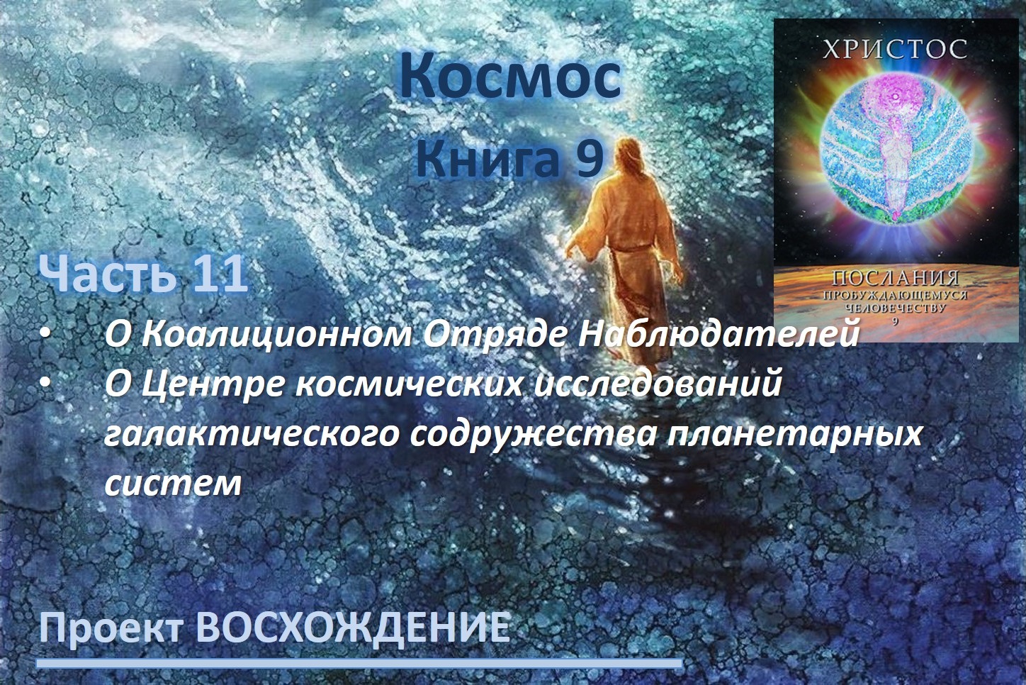 Прямые эфиры: книга 9 Космос. Часть 11. О Коалиционном Отряде Наблюдателей. О Центре космических исследований галактического содружества планетарных систем