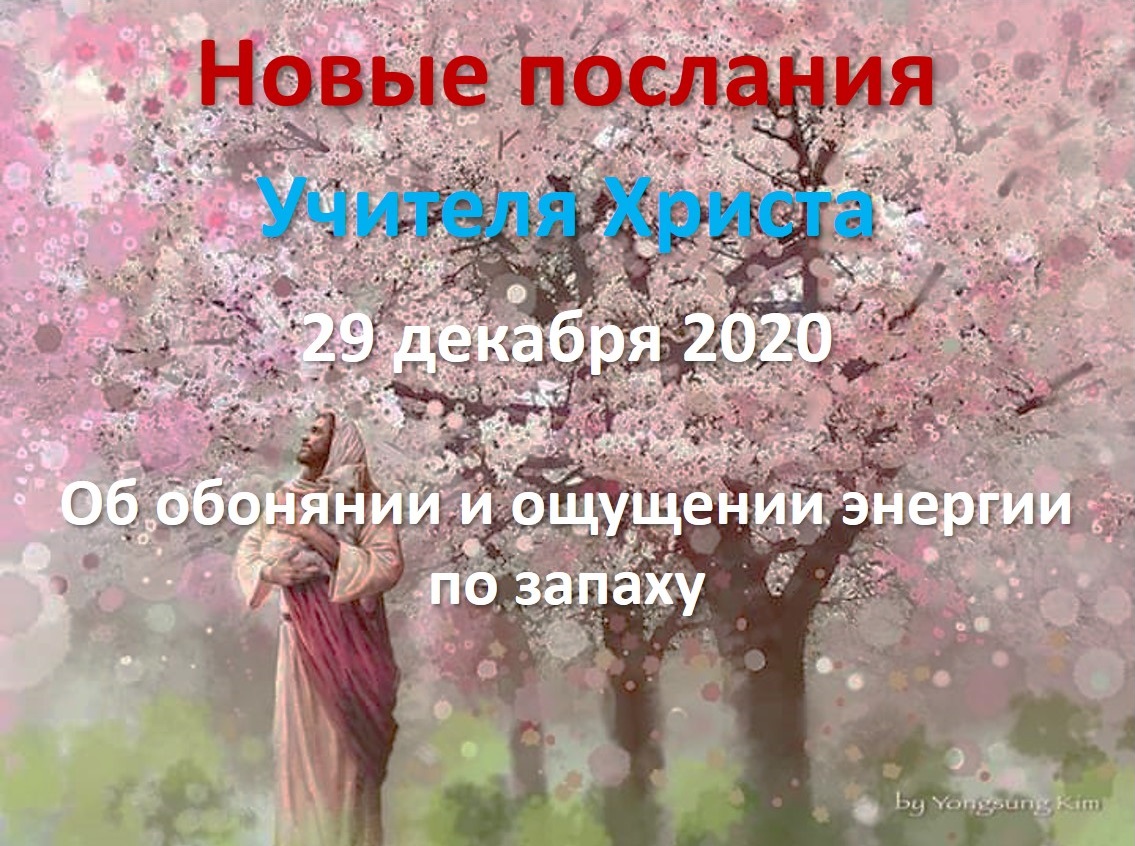 Прямые эфиры: новое послание от 29 декабря 2020. Об обонянии и ощущении энергии по запаху. Исповедь ч2