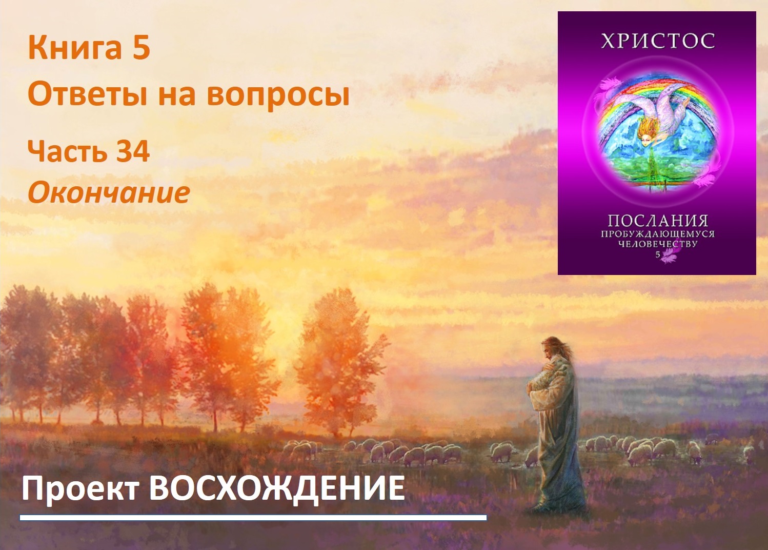 Прямые эфиры: книга 5 Ответы на вопросы. Часть 34. Окончание