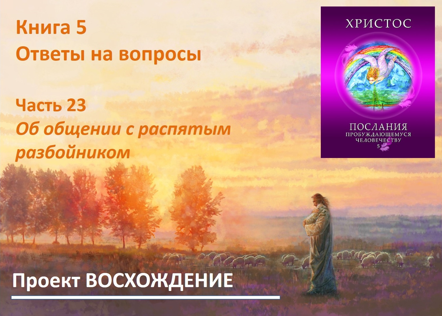 Прямые эфиры: книга 5 Ответы на вопросы. Часть 23. Об общении с распятым разбойником