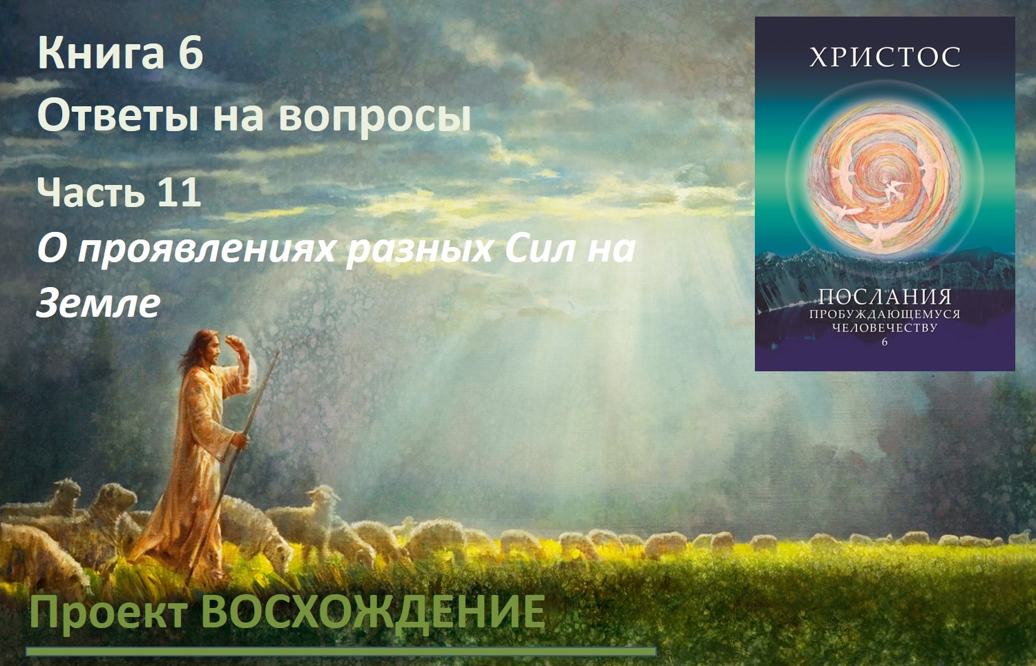 Прямые эфиры: книга 6 Ответы на вопросы. Часть 11. О проявлениях разных Сил на Земле