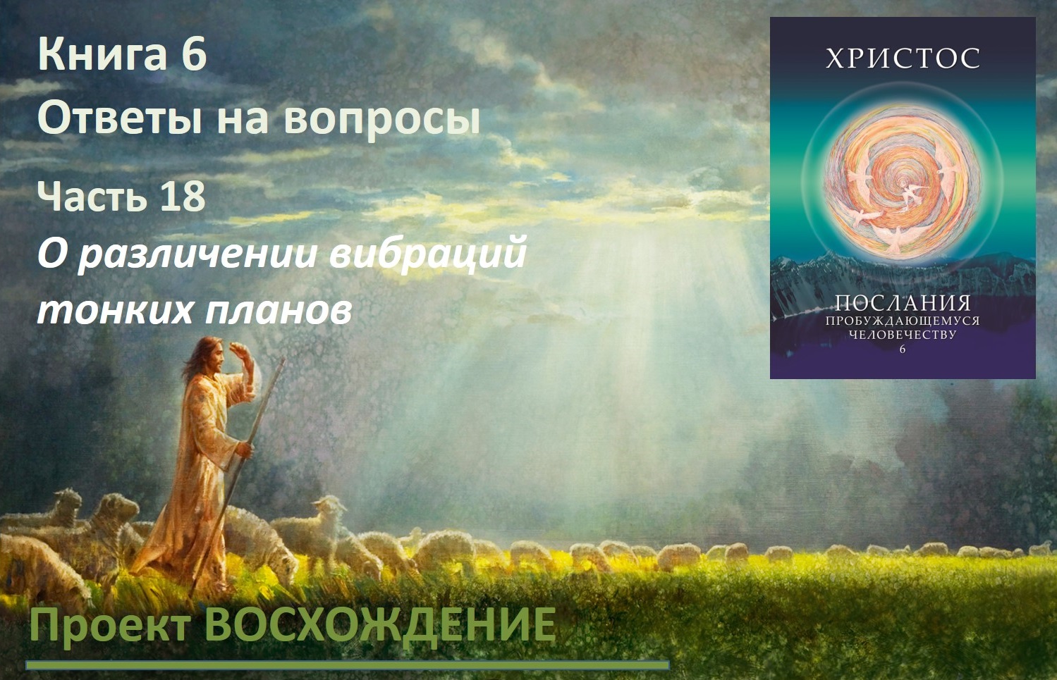 Прямые эфиры: книга 6 Ответы на вопросы. Часть 18. О различении вибраций тонких планов