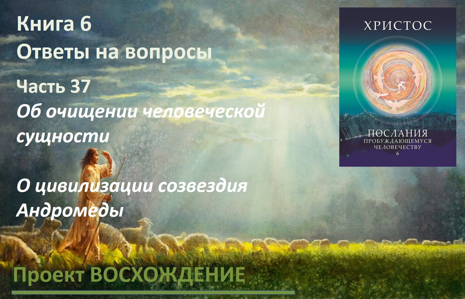 Прямые эфиры: книга 6 Ответы на вопросы. Часть 37. Об очищении человеческой сущности. Об Андромедианцах
