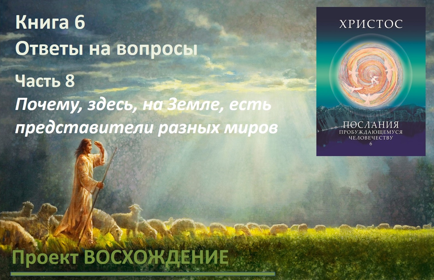 Прямые эфиры: книга 6 Ответы на вопросы. Часть 8. Почему здесь, на Земле, есть представители разных миров