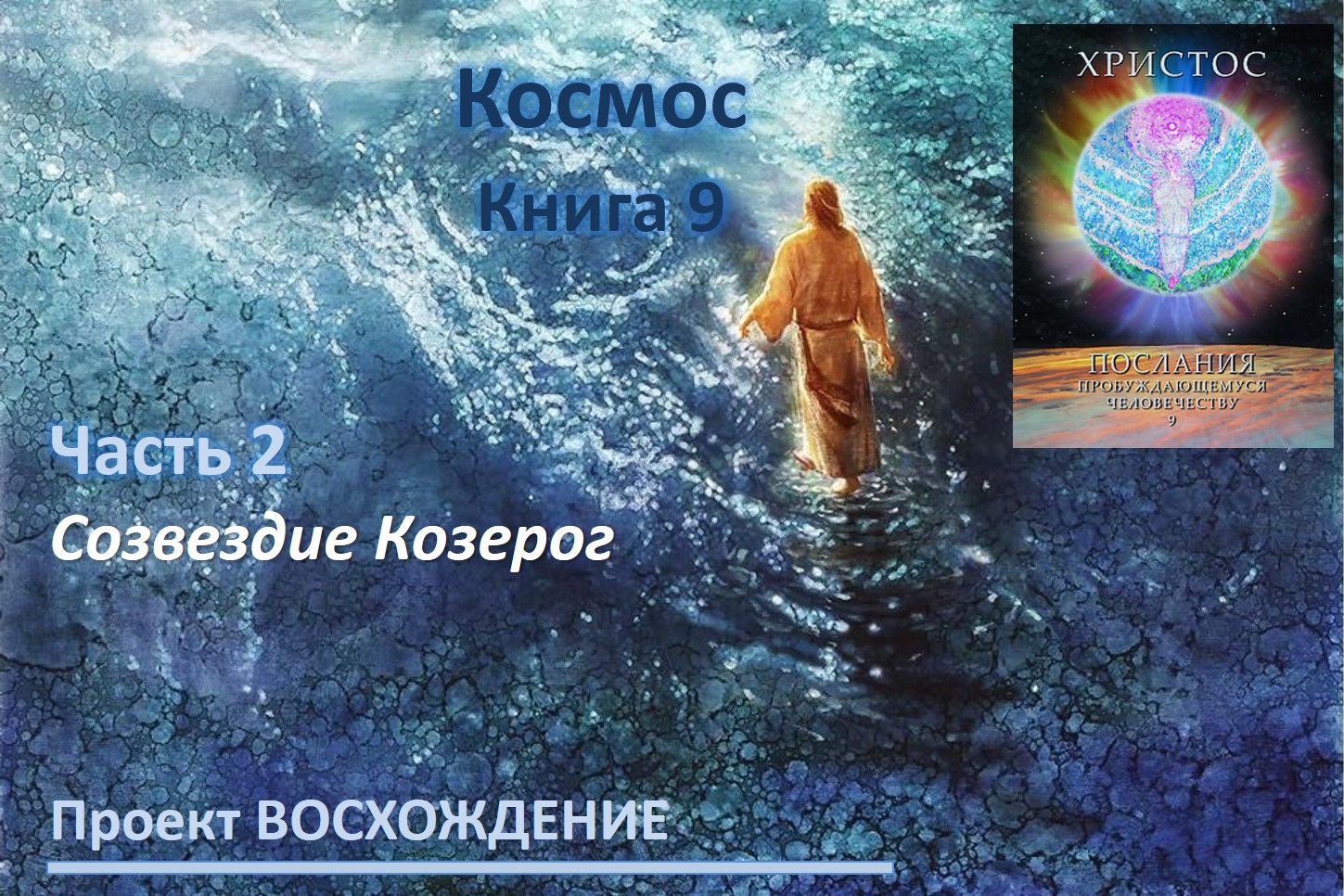 Прямые эфиры: книга 9 Космос. Часть 2. Созвездие Козерог